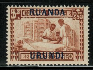Ruanda Urundi B10 1930 Mnh