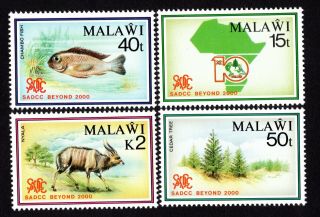 Malawi 1990 Group Of Stamps Mi 553 - 556 Mnh Cv=16€