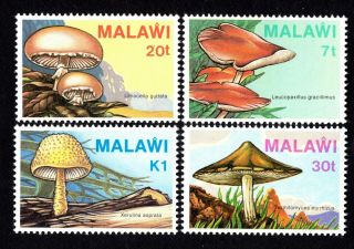 Malawi 1985 Group Of Stamps Mi 441 - 444 Mnh Cv= 18€