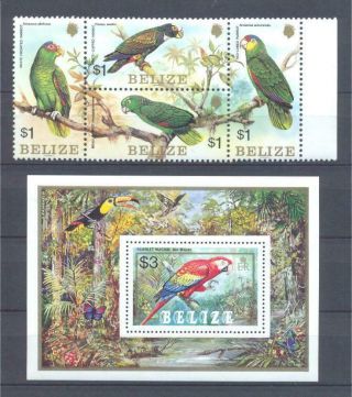 Belize 1984 Fauna Birds Parrots Set,  S/s Mnh