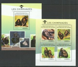 St710 2014 Guinea Animals Fauna Wild Primates Monkeys Kb,  Bl Mnh Stamps