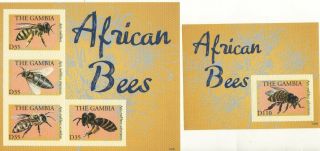Gambia Bklock & Mini Sheet 2013 Mnh,  African Bees