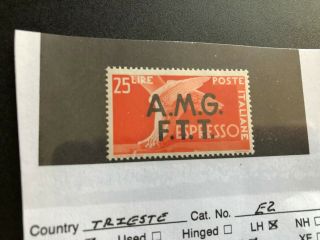 Italy Trieste Stamp Scott E2 Mlhog Scv 90.  00 Bb7156