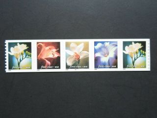 Four Flowers - Cat 3462 - 3465 Pnc5 - 34 Cent Coil Stamps Plt B1111 Mnh