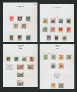 Hungary Stamps 1919 Debreczen Romania Occupation,  Four Pages Of Vf