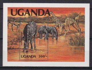 Uganda 1983,  Mi 41,  Souvenir Sheet,  Wwf,  Animals,  Mnh