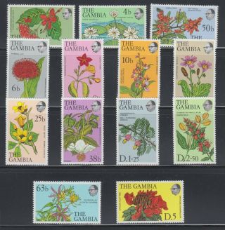 Gambia 1977 Flowers Sc 354 - 366 Complete Never Hinged