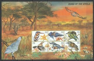 X925 Nevis Fauna Birds Of The World 1kb Mnh Stamps