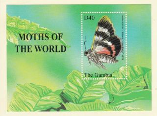 Gambia 2001 - Moths Of The World Minisheet - Lightly Hinged On Card (p25)