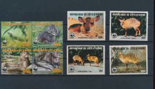 Lk68048 Ivory Coast Animals Fauna Flora Wildlife Fine Lot Mnh