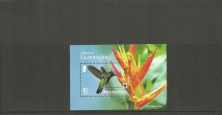 British Virgin Islands 2014 Hummingbirds Minisheet Mnh