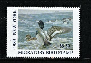 Hick Girl Stamp - Mnh.  U.  S.  1989 State Duck Stamp Sc Ny5 York Q1557
