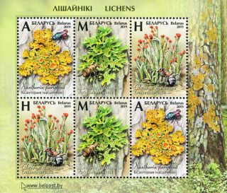 2019 Belarus Flora Lichens Common Orange Lichen Lungwort Lichen Devil’s Matc Mnh