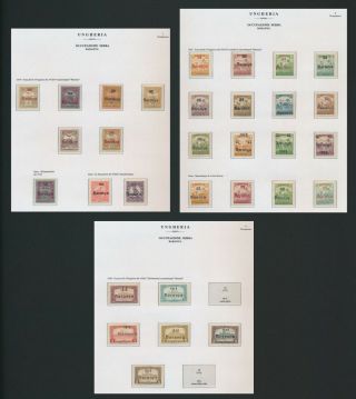 Hungary Stamps 1919 Baranya Serbia Occupation,  Inc 1st Issue,  3 Vf Pages