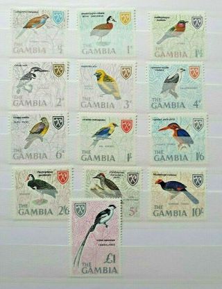Early Airmail Birds Wildlife Set Gb The Gambia Vf Mnh B228.  34 Start 0.  99$