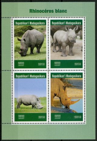 Madagascar 2019 Mnh White Rhinos Rhinoceros 4v M/s Wild Animals Stamps