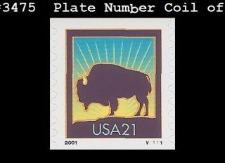 Us 3475 Mnh Pnc1 Pl V1111 American Buffalo