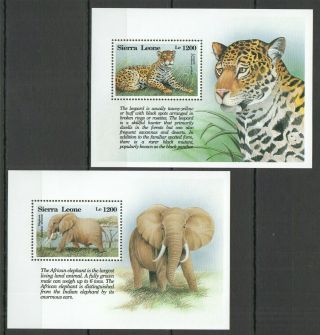 X358 Sierra Leone Wild Animals Fauna Wild Cats Leopard Elephants 2bl Mnh