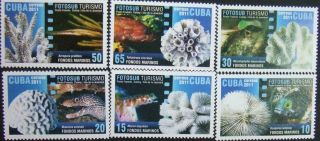 Caribbean - Fishs - Corals - Sets 6 St,  2011 - Mnh.  Cu 57/l