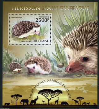 Togo 2013 Wild Animals Of West Africa Hedgehog S/sheet Nh