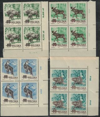Poland Fischer 743 - 746 Protected Animals Blocks Of 4 Mnh Stamps.  1954