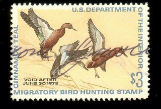 Rw38 - 1971 Federal Duck Stamp - United States -