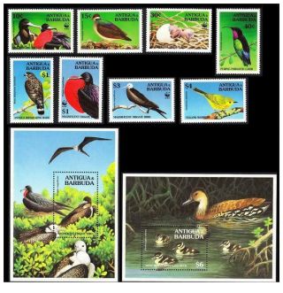 Antigua And Barbuda 1994 Wwf Birds Set,  2s/s Mnh