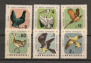 Bulgaria 1961 Wildlife Fauna Birds Vögel Oiseaux Compl.  Set Mnh