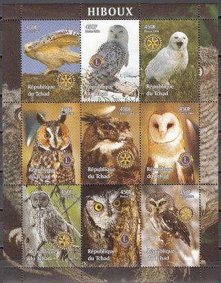 Chad,  2004 Cinderella Issue.  Various Owls On A Sheet Of 9.  Rotary Logo.