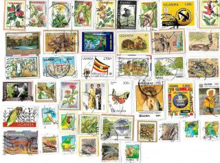Uganda - Selection Of Stamps On Paper From Kiloware