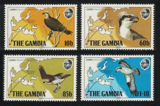 Gambia Osprey Birds 4v Mnh Sg 510 - 513