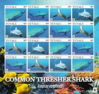 Tuvalu 2016 Sharks Marine Life Wwf Klb Of 16v Mnh