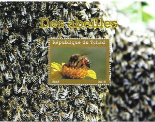 Chad 2018 Souvenir Sheet Honey Bees,  Mnh