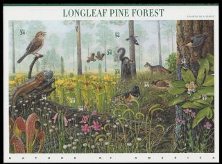 Usa Sc.  3611 34c Longleaf Pine Forest 2002 Mnh Pane Of 10