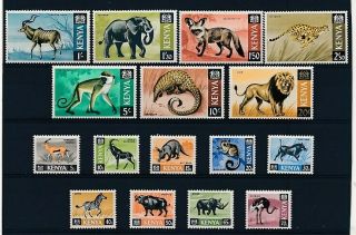 D279702 Wild Animals Mnh Kenya
