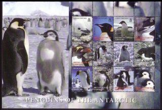 Bat Birds Penguins Sheetlet Of 12 2nd Issue Mnh Sg 424 - 435