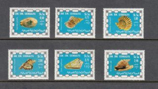 Shells - Somalia - 1976 Set Of 6 - (sc 430 - 5) - Mnh - B404
