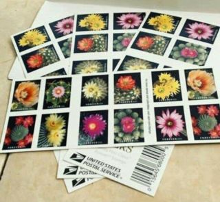 200 Usps Forever Postage Stamps - 10 Booklets Of 20 - Cactus Flower