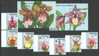 S95 1990 Grenada Flora Flowers Orchids 2078 - 85 Michel 26 Euro Set,  2bl Mnh