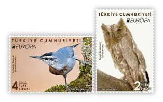 Turkey/2019 - Europa Cept " National Birds " (owl),  Mnh