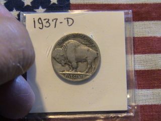 1937 D Indian Head/buffalo Nickel.  A Looking Coin Some Wear.  82 Years Old