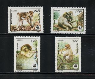 P082 Algeria 1988 Monkeys Apes Fauna Wwf 4v.  Mnh