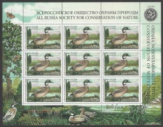 Russia 2001 Duck Stamp Sheet Of 9 Signed By The Artist