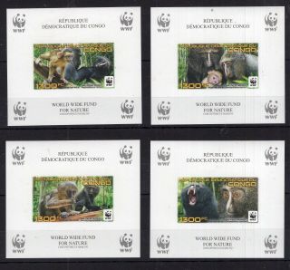 Congo - Wwf Animals On Postage Stamps Imperf.  Deluxes - Mnh B305