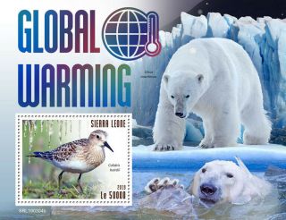 Sierra Leone 2019 Fauna Global Warming Bird,  Polar Bear S201903