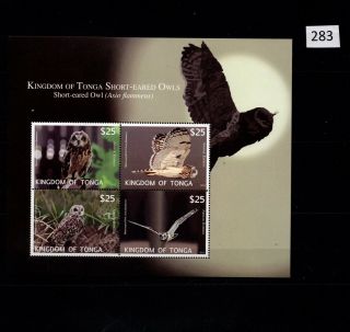 = Tonga - Mnh - Nature - Birds - Owls - 2012