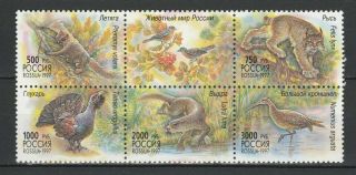 Russia 1997 Fauna Birds 6 Mnh Stamps
