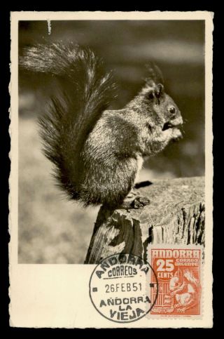 Dr Who 1951 Andorra Maximum Card Squirrel E67670
