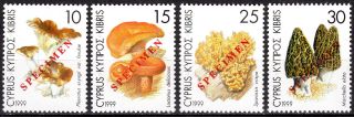Cyprus 1999 Mushrooms Of Cyprus - Specimen Mnh
