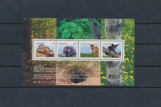 Gx02230 Canada Animals Fauna Flora Wildlife Good Sheet Mnh